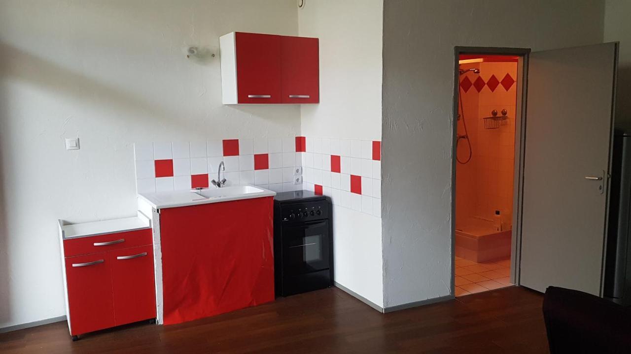 Grand studio et jolies chambres à louer Passins Esterno foto